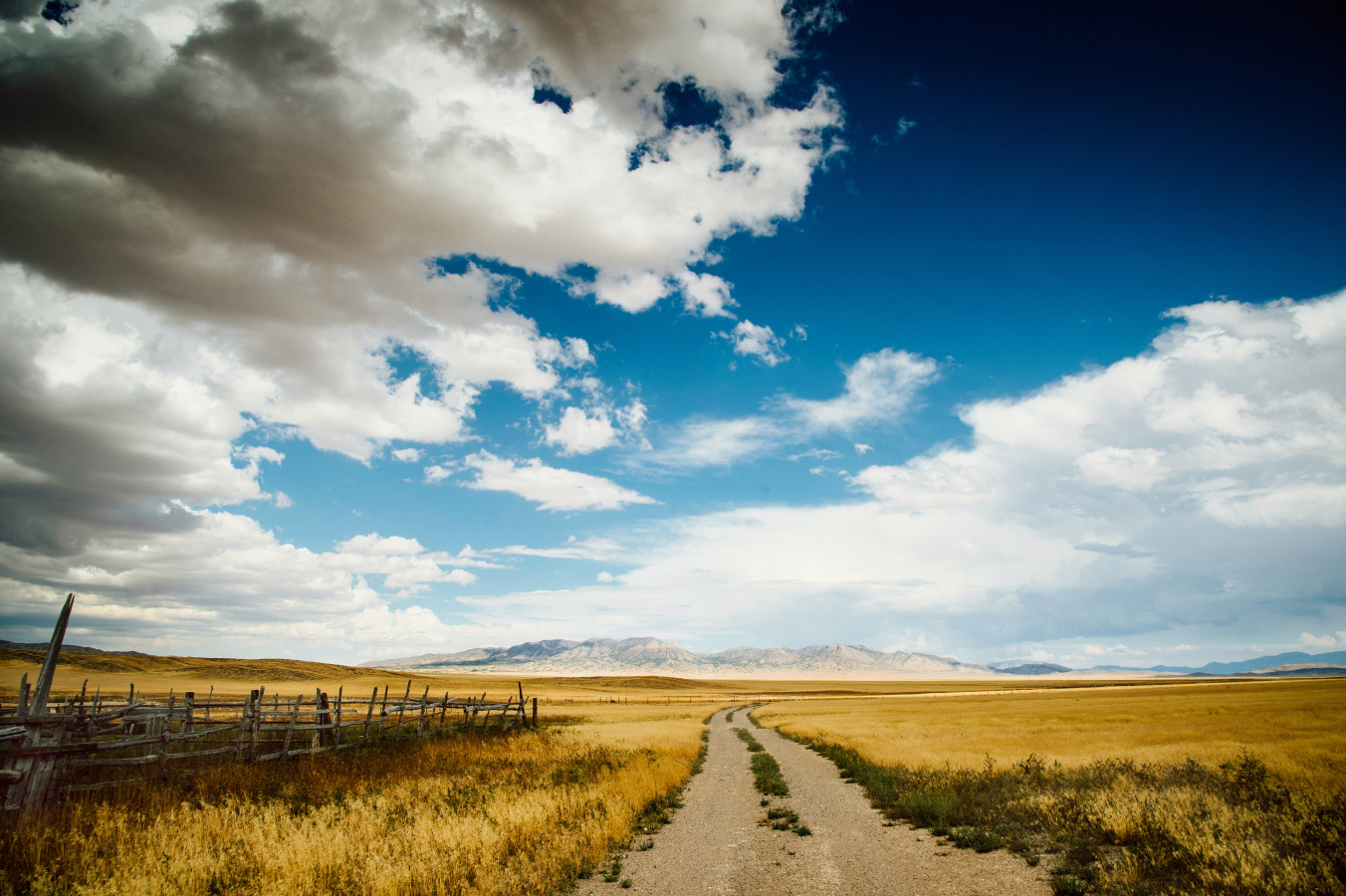 Chapter Twenty — Part Six: The Book of Acts